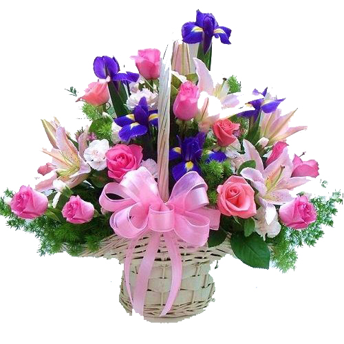 01%D0%BF%D0%BE%D1%86%D0%B5%D0%BB%D1%83%D